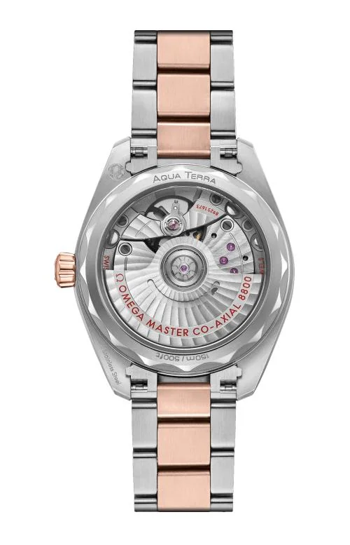 Seamaster Aqua Terra 150M 34 Mm, Acciaio-Oro Sedna™ Su Acciaio-Oro Sedna™ 2