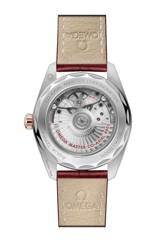 Seamaster Aqua Terra 150M 38 Mm, Acciaio-Oro Sedna™ Su 2