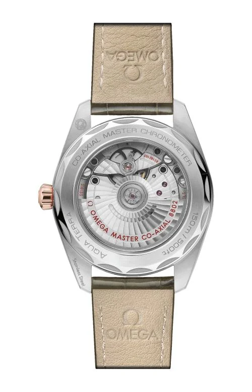 Seamaster Aqua Terra 150M 38 Mm, Acciaio-Oro Sedna™ Su 2