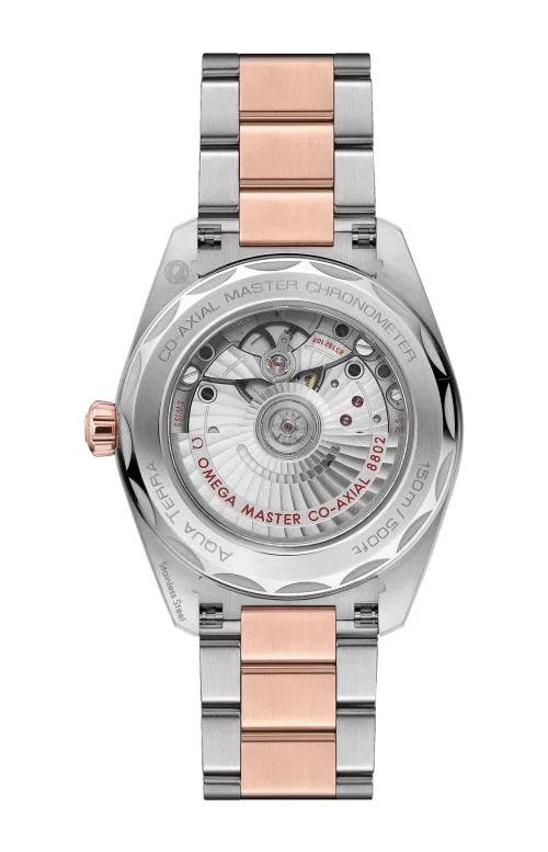 Seamaster Aqua Terra 150M 38 Mm, Acciaio-Oro Sedna™ Su Acciaio-Oro Sedna™ 2