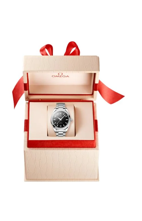 Seamaster Aqua Terra 150M 38 Mm, Acciaio Su 4