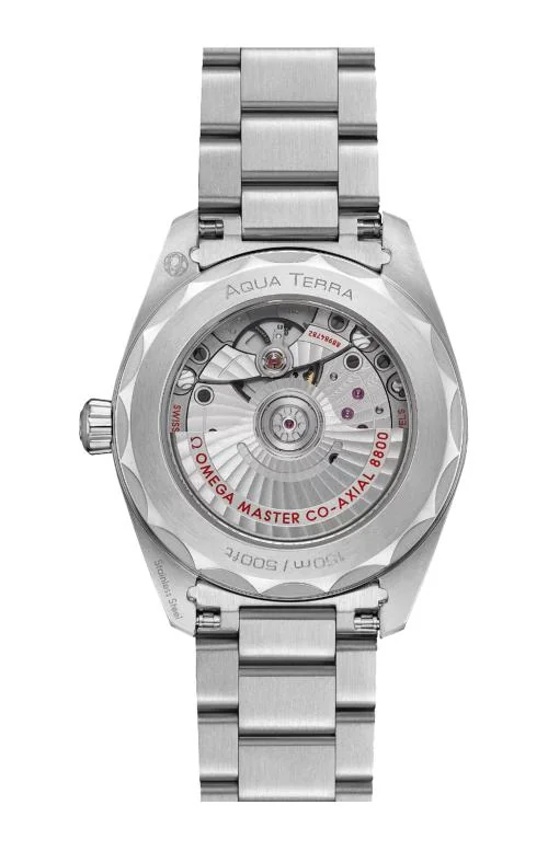 Seamaster Aqua Terra 150M 38 Mm, Acciaio Su 2