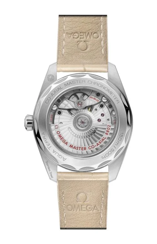 Seamaster Aqua Terra 150M 38 Mm, Acciaio Su 2