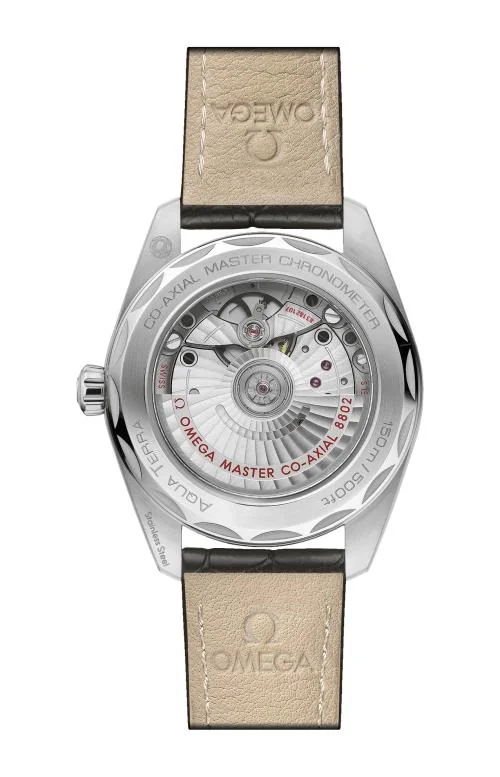 Seamaster Aqua Terra 150M 38 Mm, Acciaio Su 2