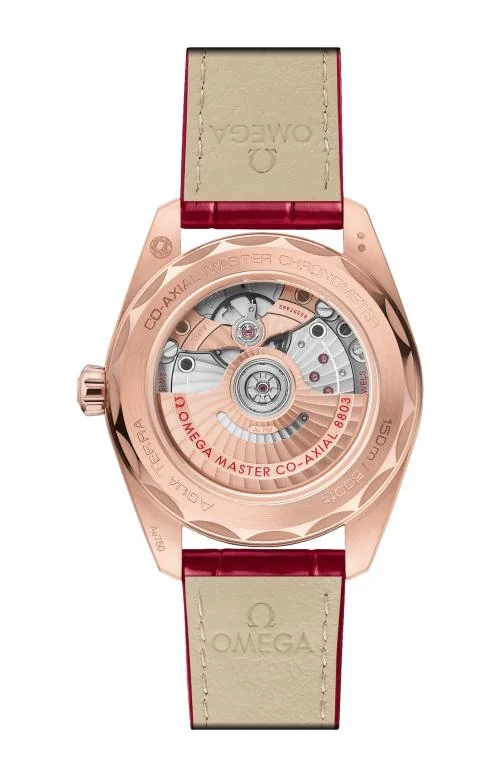 Seamaster Aqua Terra 150M 38 Mm, Oro Sedna™ Su 2
