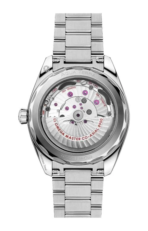 Seamaster Aqua Terra 150M 41 Mm, Acciaio Su 2