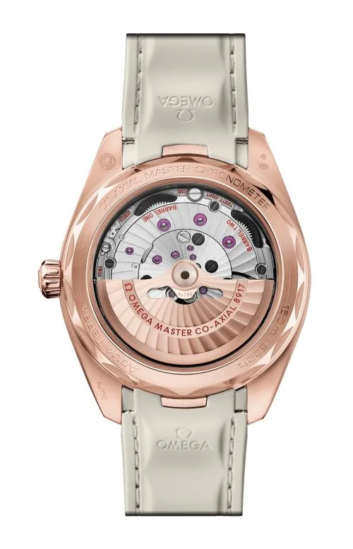Seamaster Aqua Terra 150M 41 Mm, Oro Sedna™ Su Caucciù 2