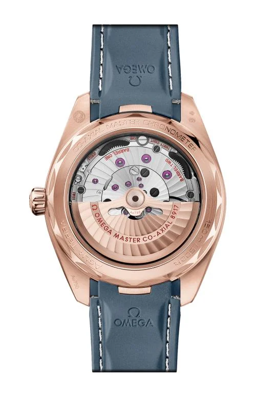 Seamaster Aqua Terra 150M 41 Mm, Oro Sedna™ Su Caucciù 2