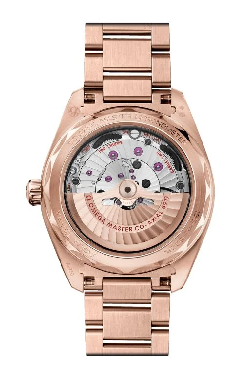 Seamaster Aqua Terra 150M 41 Mm, Oro Sedna™ Su Oro Sedna™ 2