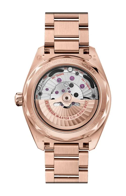 Seamaster Aqua Terra 150M 41 Mm, Oro Sedna™ Su Oro Sedna™ 2
