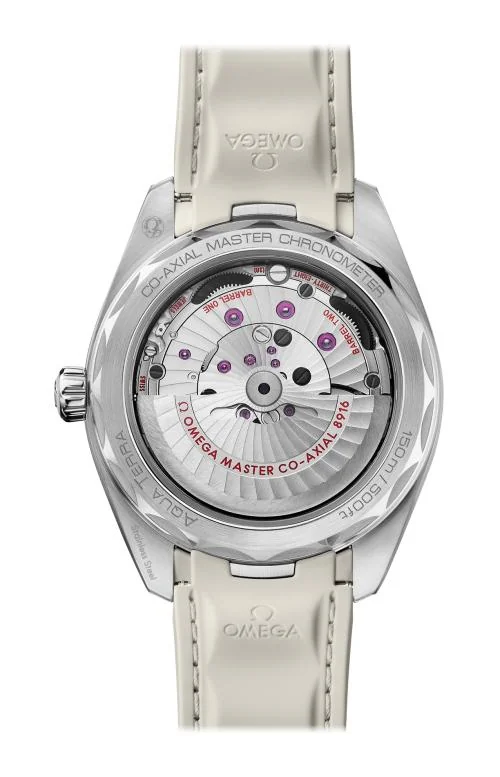 Seamaster Aqua Terra 150M Co-Axial Master Chronometer Small Seconds 41 Mm 2