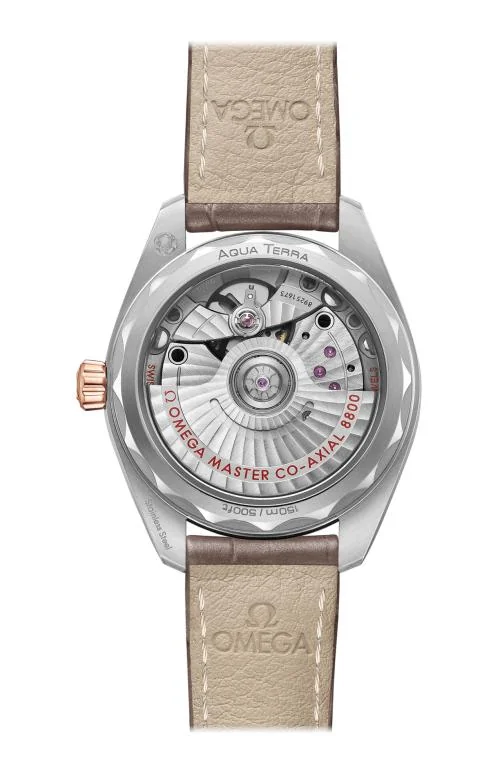 Seamaster Aqua Terra 150M Omega Co-Axial Master Chronometer 34 Mm 2