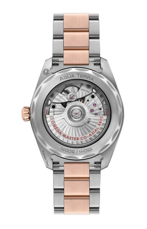 Seamaster Aqua Terra 150M Omega Co-Axial Master Chronometer 38 Mm 2