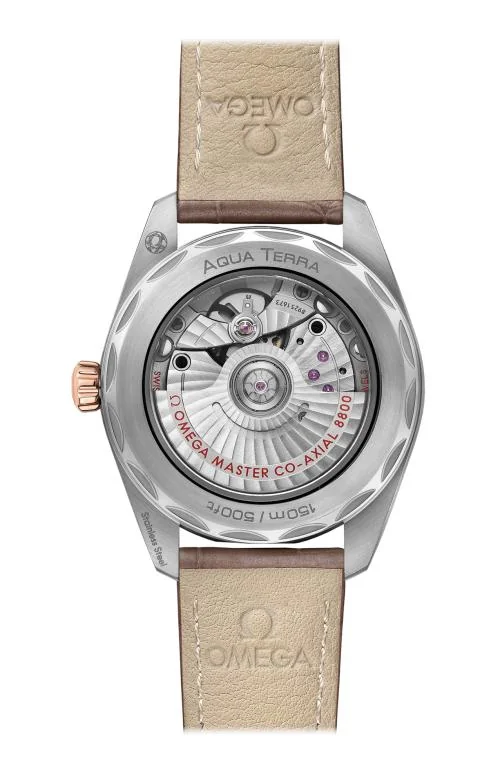 Seamaster Aqua Terra 150M Omega Co-Axial Master Chronometer 38 Mm 2