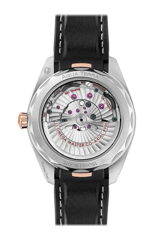 Seamaster Aqua Terra 150M Omega Co-Axial Master Chronometer 41 Mm 2