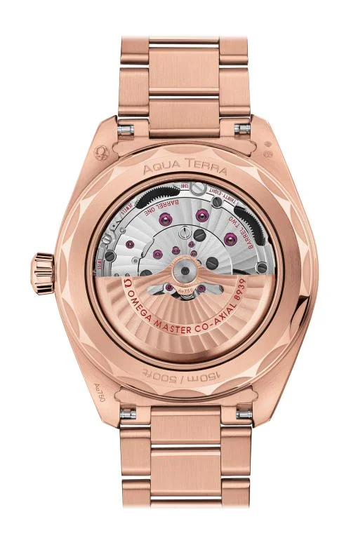 Seamaster Aqua Terra 150M Omega Co-Axial Master Chronometer GMT Worldtimer 43 Mm 2
