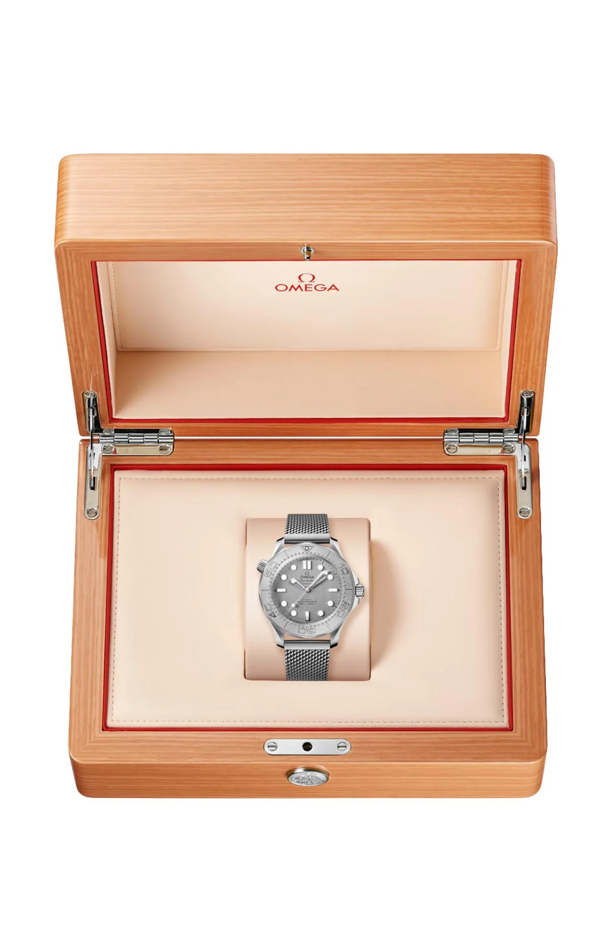 Seamaster Diver 300M 42 Mm, Acciaio Su 4