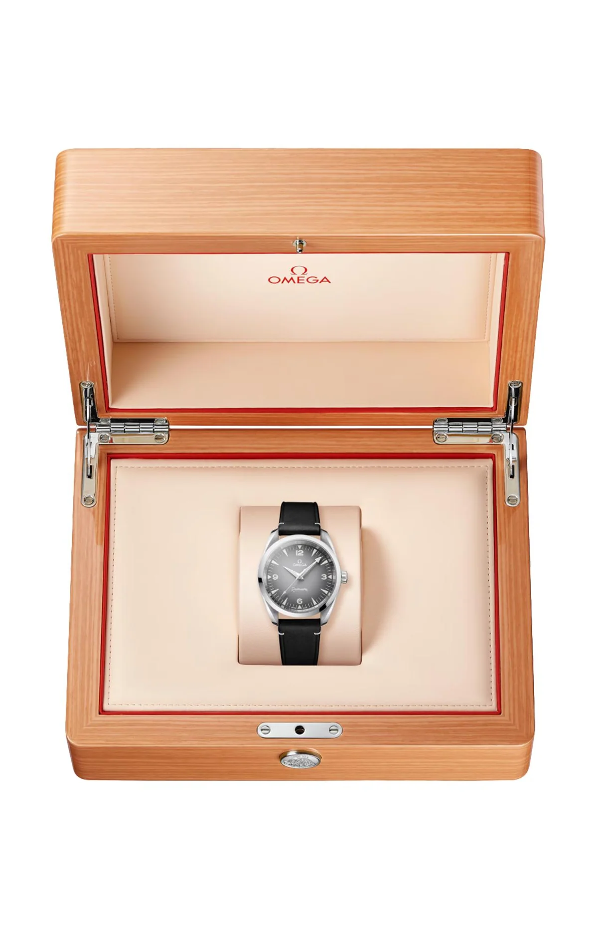 Seamaster Railmaster 38 Mm, Acciaio Su 3