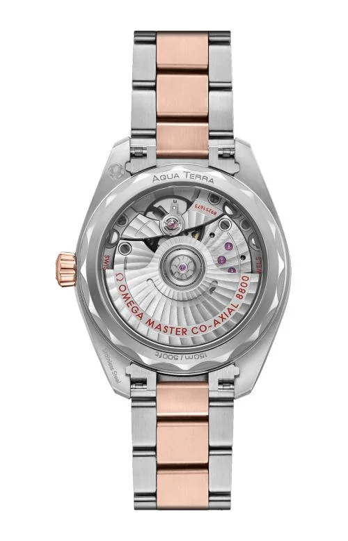 Semaster Aqua Terra 150M 34 Mm, Acciaio-Oro Sedna™ Su Acciaio-Oro Sedna™ 2