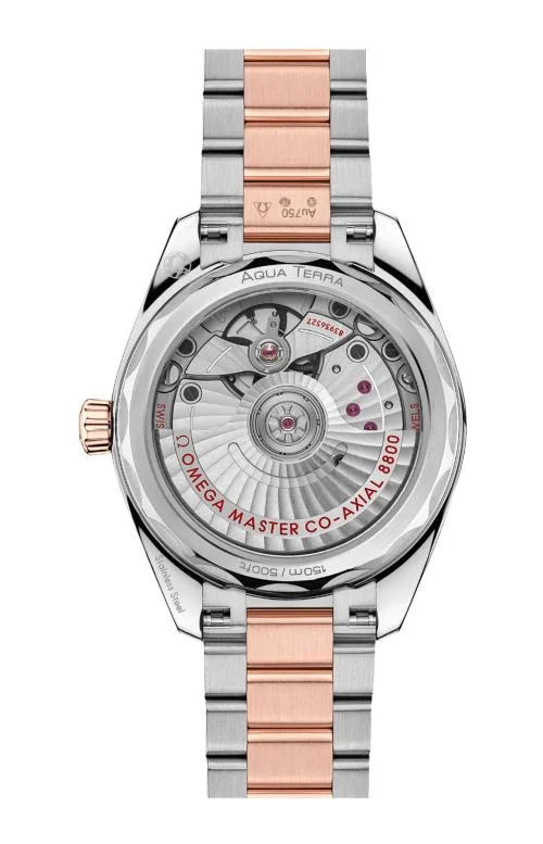 Semaster Aqua Terra Shades 34 Mm, Acciaio‑Oro Sedna™ Su Acciaio‑Oro Sedna™ 2