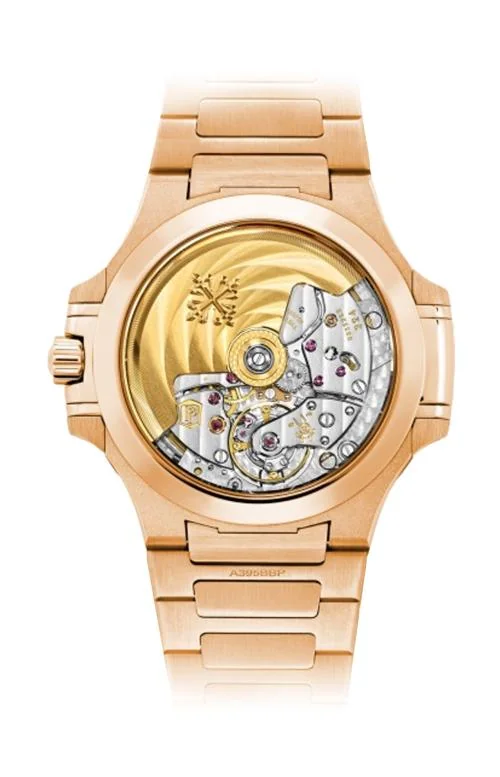 7118/1R - Nautilus Carica 2
